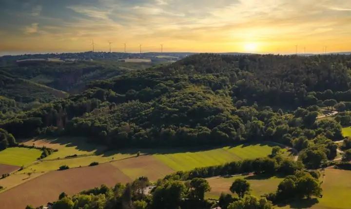 #JornaldoMeioDia, Confira a edição do dia 30/05/2059 - A mudança no Ibama, Os desmatamentos na Amazônia, Eleições